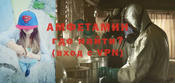 шишки Арсеньев
