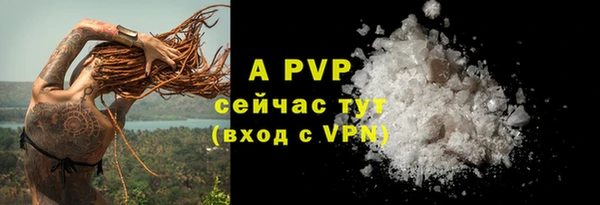 стафф Аркадак