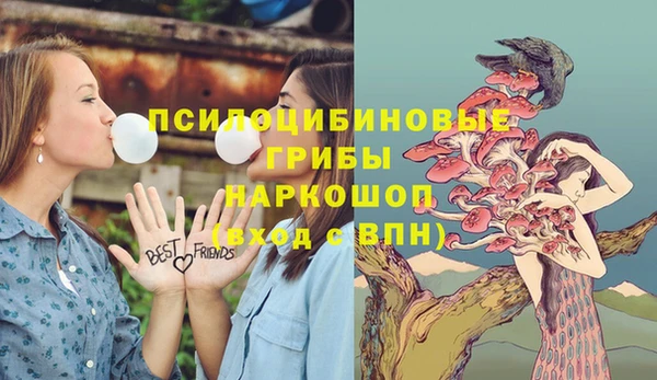 шишки Арсеньев