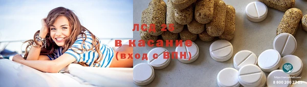 шишки Арсеньев