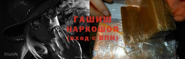 шишки Арсеньев