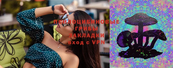 шишки Арсеньев