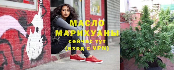 шишки Арсеньев