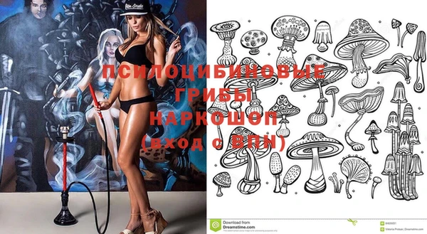 шишки Арсеньев