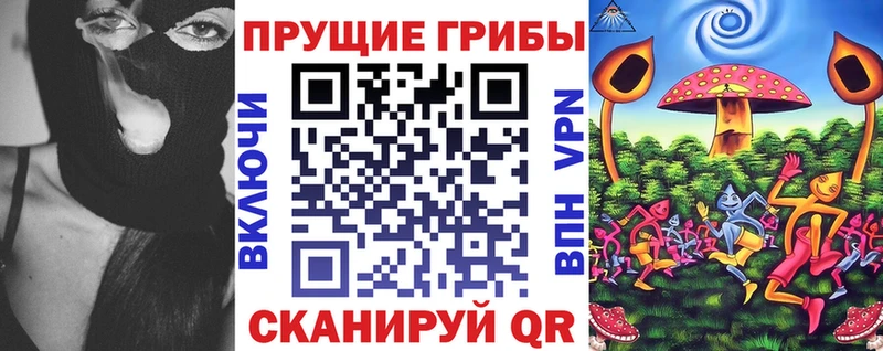 Псилоцибиновые грибы мицелий купить цена Сурск